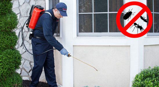 Kozan Karınca İlaçlama böcek ilaçlama ve haşere kontrolü — ilaclama-tr.com